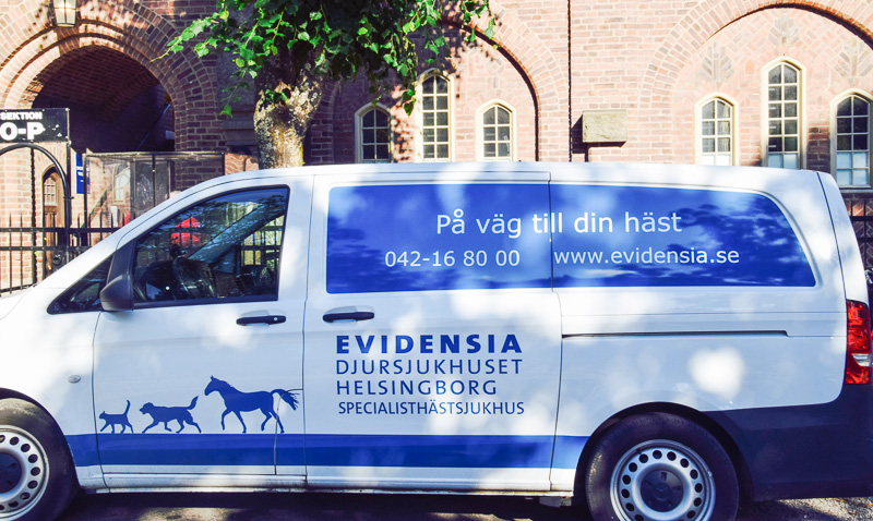 evidensia-Longines-Global-Champions-Tour-3.jpg evidensia-Longines-Global-Champions-Tour-3.jpg